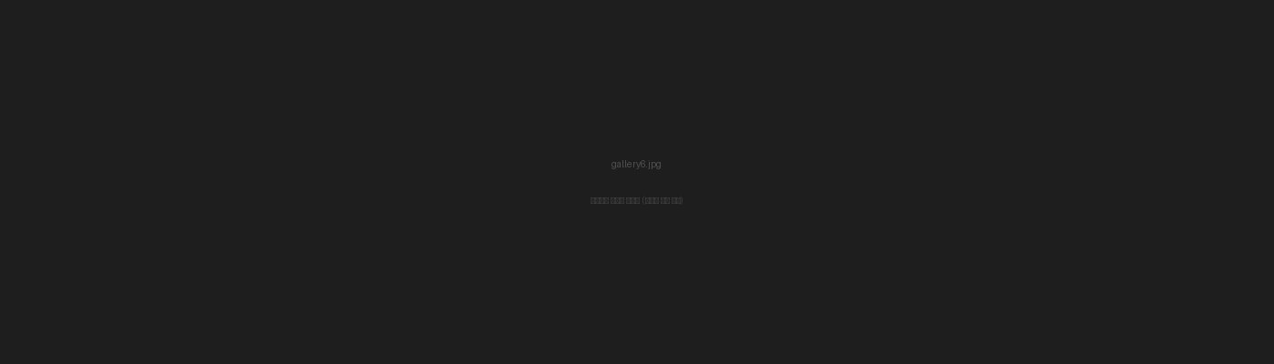 포트폴리오 6